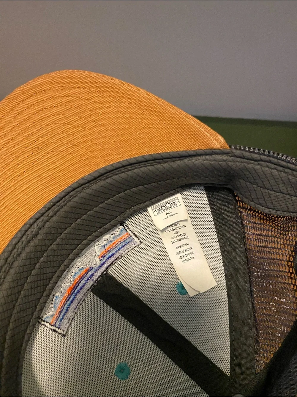 Patagonia cute tan